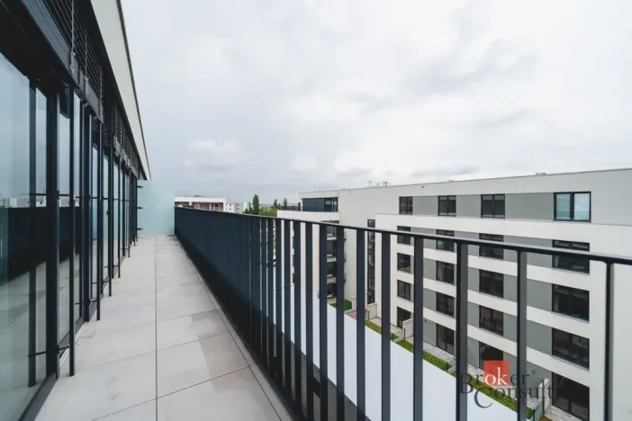 Pronájem bytu 2+kk, Plzeň - Jižní Předměstí, Železná, 62 m2