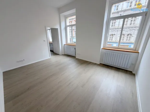 Pronájem bytu 1+1, Praha - Žižkov, Chelčického, 33 m2