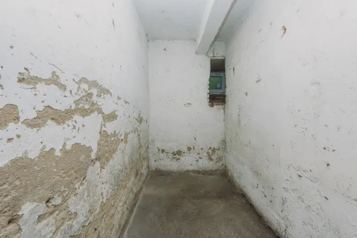 Prodej bytu 2+1, Rybitví, Školní, 50 m2