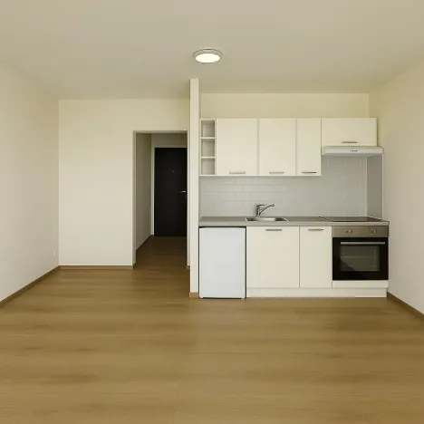 Pronájem bytu 1+kk, Brno, Čejkovická, 33 m2