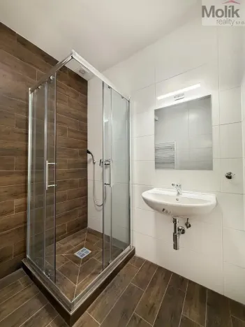 Pronájem bytu 3+kk, Osek, Tovární, 48 m2