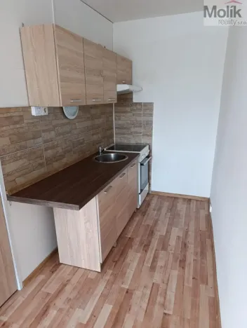 Prodej bytu 1+kk, Ústí nad Labem - Krásné Březno, V Oblouku, 32 m2