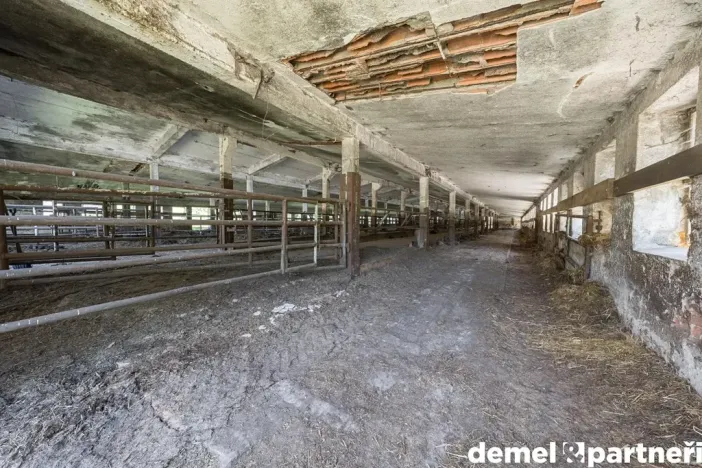 Prodej zemědělského objektu, Korouhev, 1400 m2