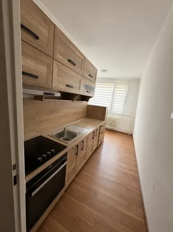 Prodej bytu 2+1, Duchcov, Osecká, 63 m2