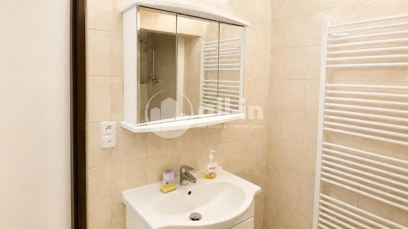 Pronájem bytu 3+1, Vyškov - Brňany, Palánek, 123 m2