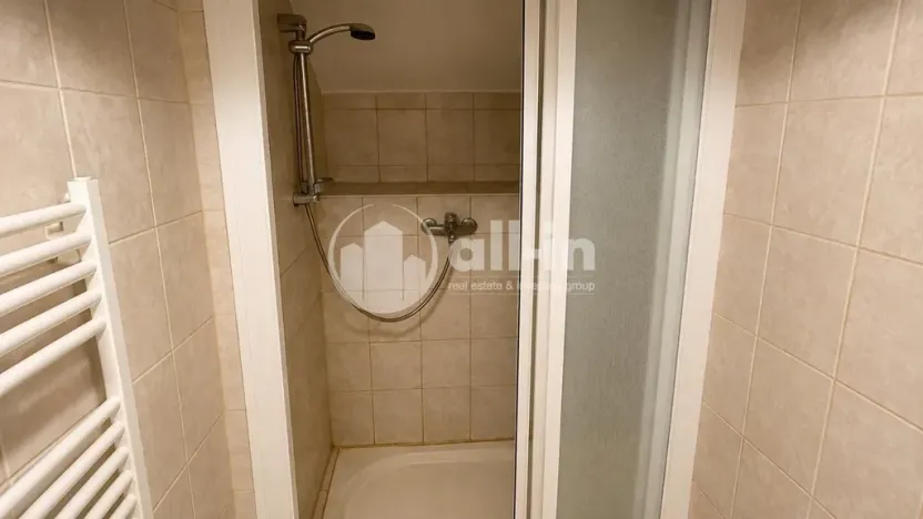 Pronájem bytu 3+1, Vyškov - Brňany, Palánek, 123 m2