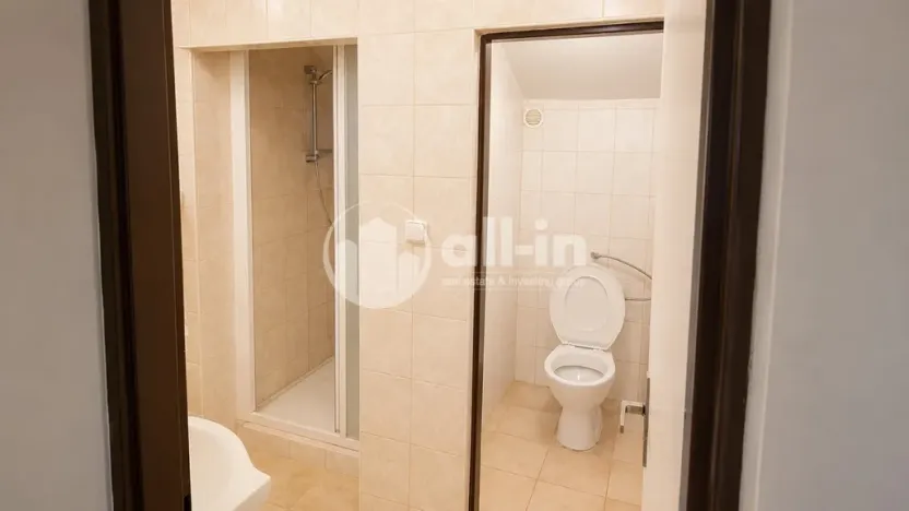Pronájem bytu 3+1, Vyškov - Brňany, Palánek, 123 m2