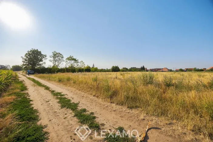 Prodej zahrady, Dyjákovice, 3930 m2