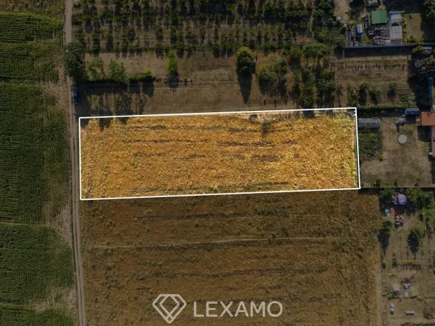 Prodej zahrady, Dyjákovice, 3930 m2