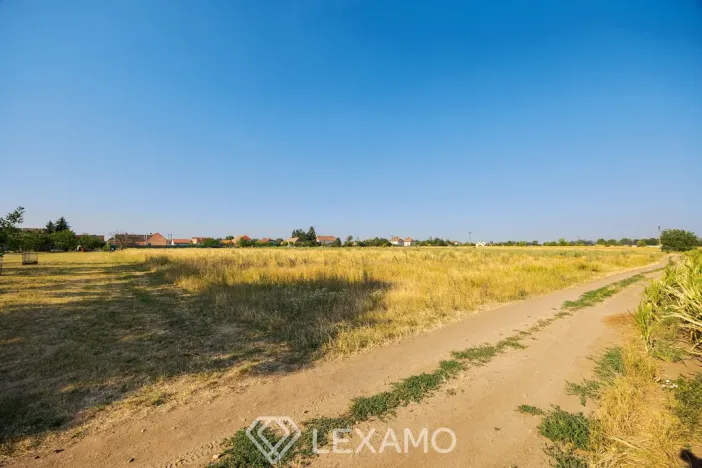 Prodej zahrady, Dyjákovice, 3930 m2