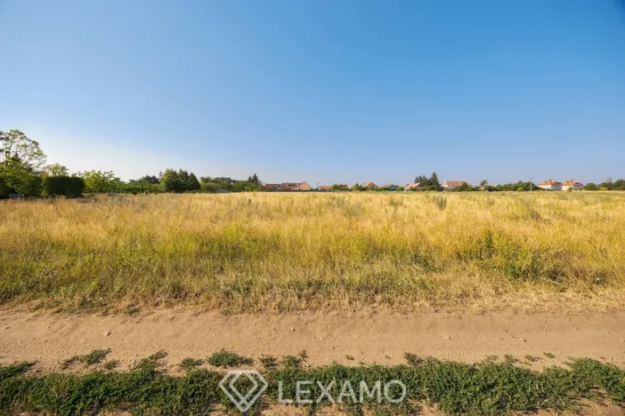 Prodej zahrady, Dyjákovice, 3930 m2