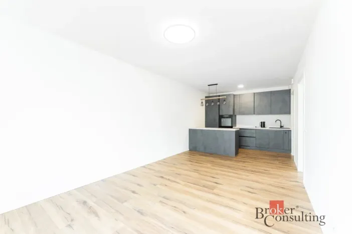 Pronájem bytu 2+kk, Praha - Smíchov, Plzeňská, 51 m2