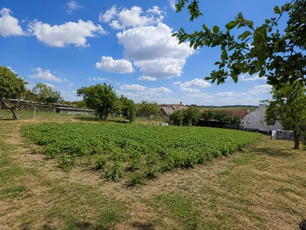 Prodej rodinného domu, Moravské Budějovice - Vranín, 230 m2
