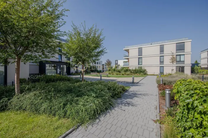 Pronájem bytu 3+kk, Olomouc - Nová Ulice, Karla Mareše, 108 m2