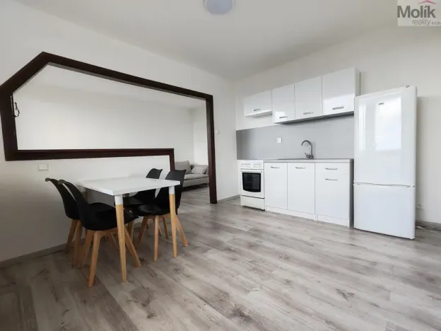 Pronájem bytu 1+1, Most, Růžová, 40 m2