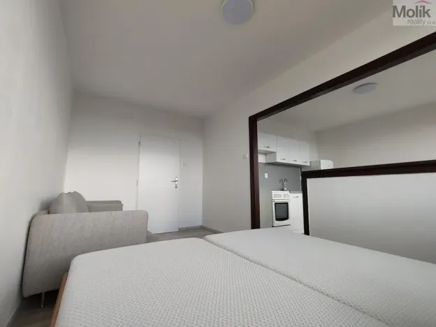 Pronájem bytu 1+1, Most, Růžová, 40 m2
