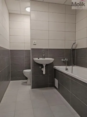 Pronájem bytu 1+1, Most, Růžová, 40 m2