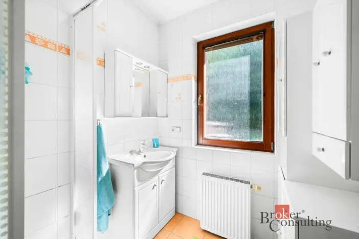 Prodej rodinného domu, Horní Bříza, Lesní, 196 m2