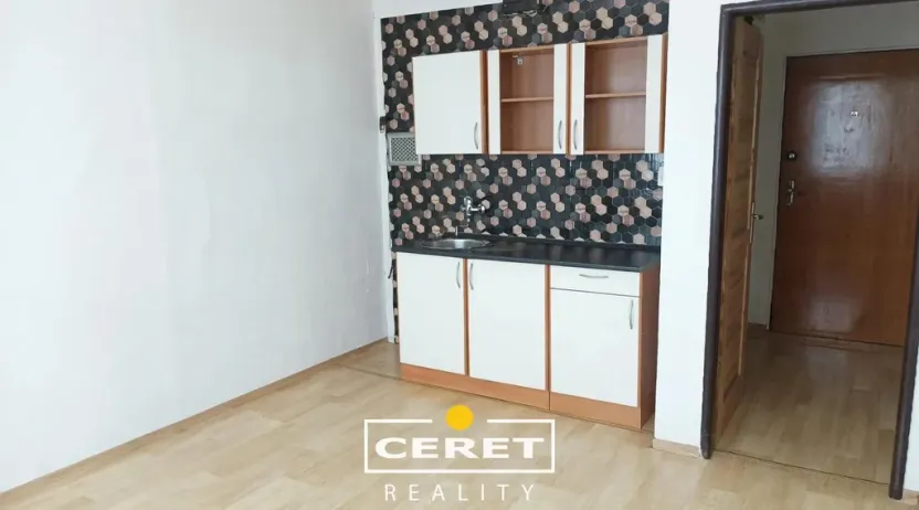 Prodej bytu 1+kk, Žatec, 20 m2