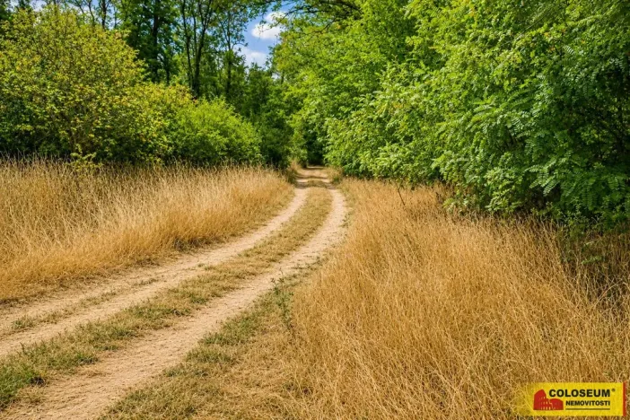 Prodej pole, Dyje, 8295 m2
