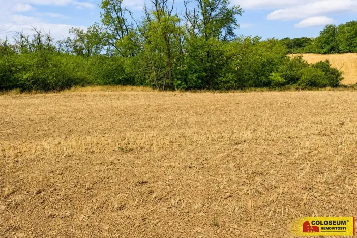 Prodej pole, Dyje, 8295 m2