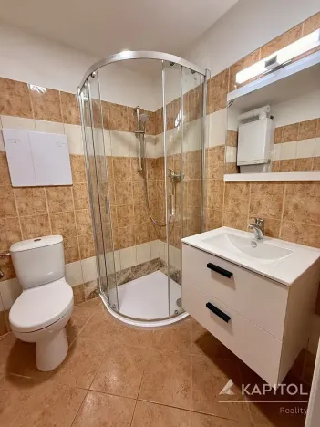 Pronájem bytu 1+kk, Brno, Vavřinecká, 41 m2