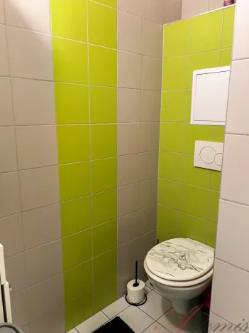 Pronájem bytu 2+kk, Ostrava - Hrabůvka, Provaznická, 49 m2