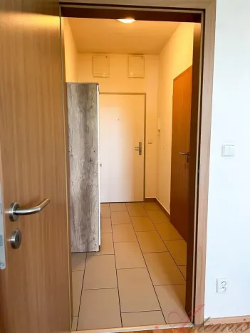 Pronájem bytu 2+kk, Ostrava - Hrabůvka, Provaznická, 49 m2