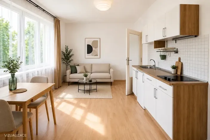 Pronájem bytu 1+kk, Praha - Nové Město, Biskupský dvůr, 26 m2