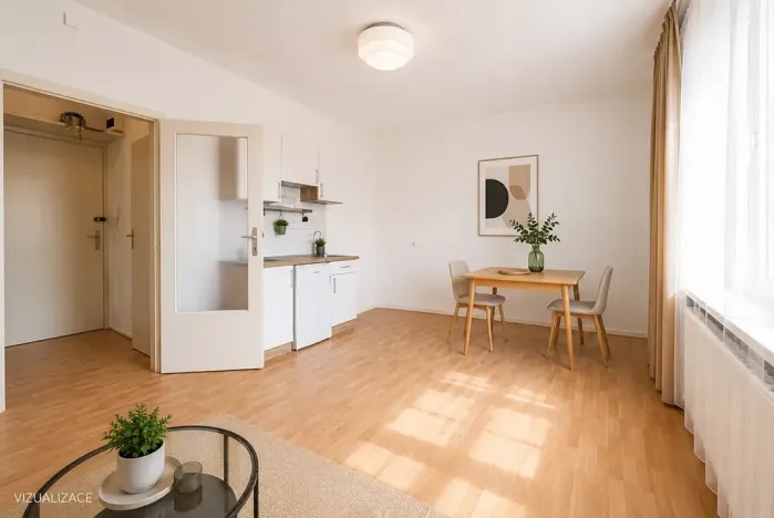 Pronájem bytu 1+kk, Praha - Nové Město, Biskupský dvůr, 26 m2