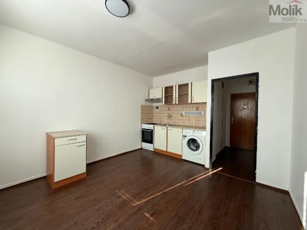 Pronájem bytu 1+1, Litvínov - Horní Litvínov, Mostecká, 35 m2