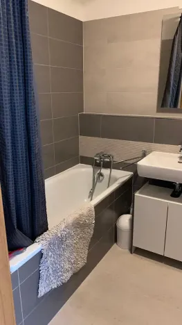 Pronájem bytu 1+kk, Praha - Žižkov, Baranova, 40 m2