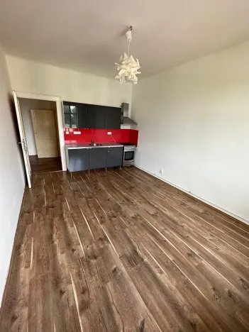 Pronájem bytu 2+kk, Praha - Žižkov, Hartigova, 54 m2