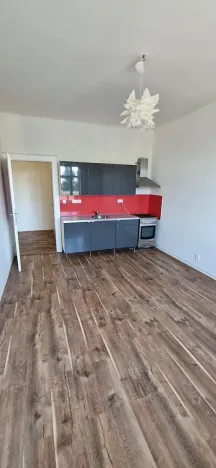 Pronájem bytu 2+kk, Praha - Žižkov, Hartigova, 54 m2