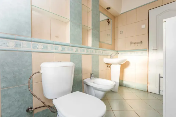 Prodej rodinného domu, Litvínov - Janov, Křížatecká, 480 m2
