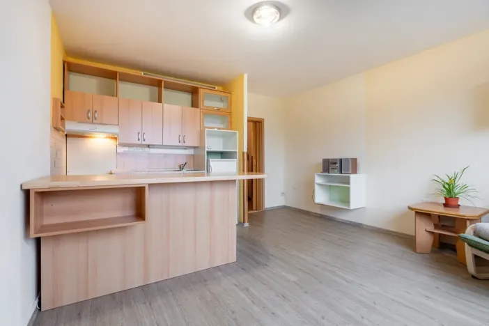 Prodej bytu 2+kk, Teplice - Trnovany, U Červeného kostela, 43 m2