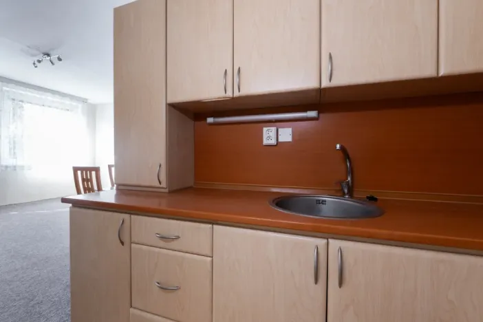 Pronájem bytu 1+kk, Teplice - Trnovany, Masarykova třída, 33 m2