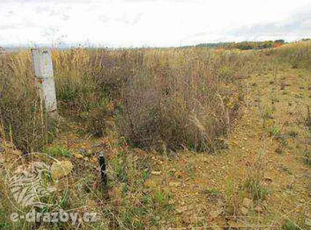 Dražba pole, Liběšice, 6750 m2