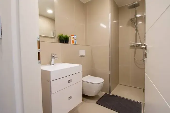 Pronájem bytu 2+kk, Praha - Vinohrady, Perucká, 40 m2