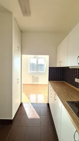 Pronájem bytu 3+kk, Praha - Podolí, Pod Pekařkou, 70 m2