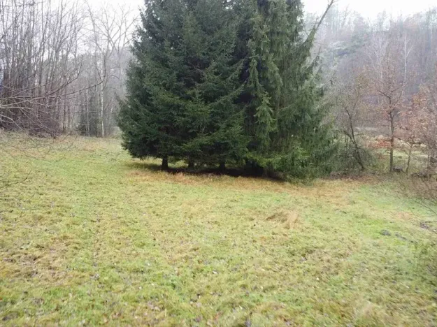 Dražba louky, Světlá nad Sázavou, 8621 m2