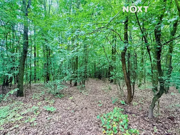 Prodej chaty, Kadaň, 48 m2