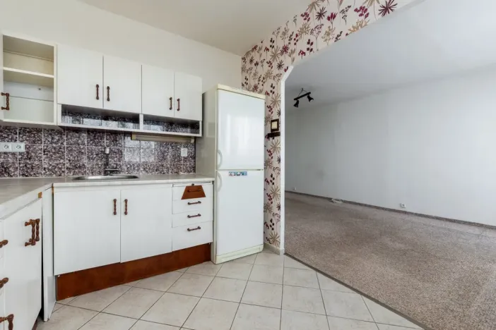 Prodej bytu 4+1, Litvínov - Janov, Luční, 90 m2