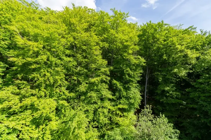 Prodej bytu 4+1, Litvínov - Janov, Luční, 90 m2