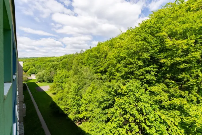 Prodej bytu 4+1, Litvínov - Janov, Luční, 90 m2