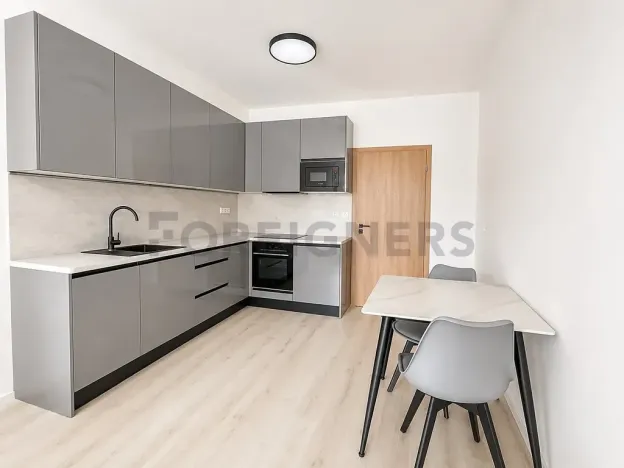 Pronájem bytu 1+kk, Brno, Dornych, 32 m2