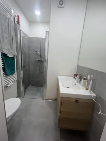Pronájem bytu 1+1, Zlín, třída Tomáše Bati, 36 m2