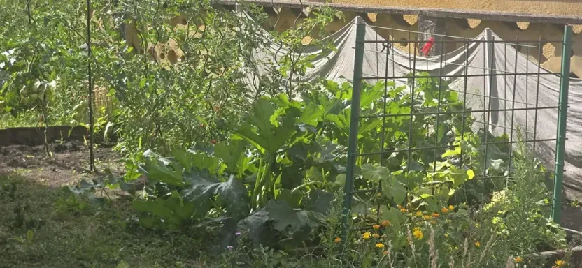 Prodej bytu 2+1, Česká Lípa, 49 m2