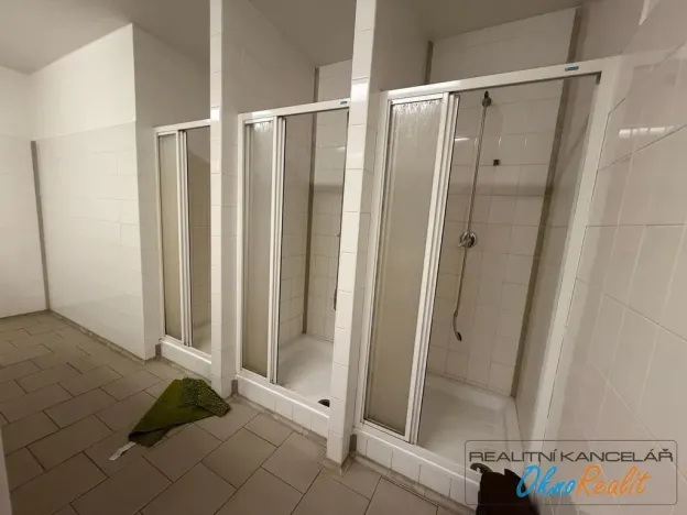 Pronájem výrobních prostor, Přerov - Přerov I-Město, Tovačovská, 200 m2