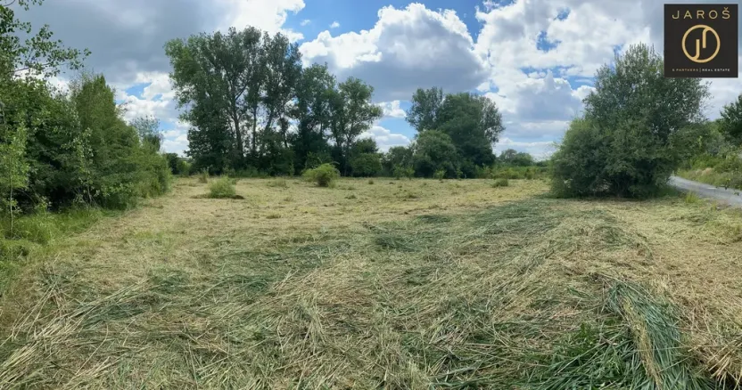 Prodej louky, Tachlovice, 2641 m2